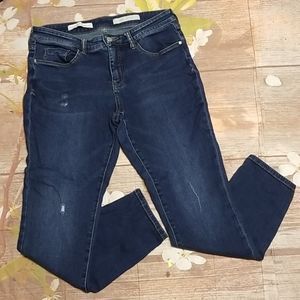 Anthropologie Pilcro & the letterpress jeans